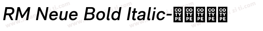 RM Neue Bold Italic字体转换